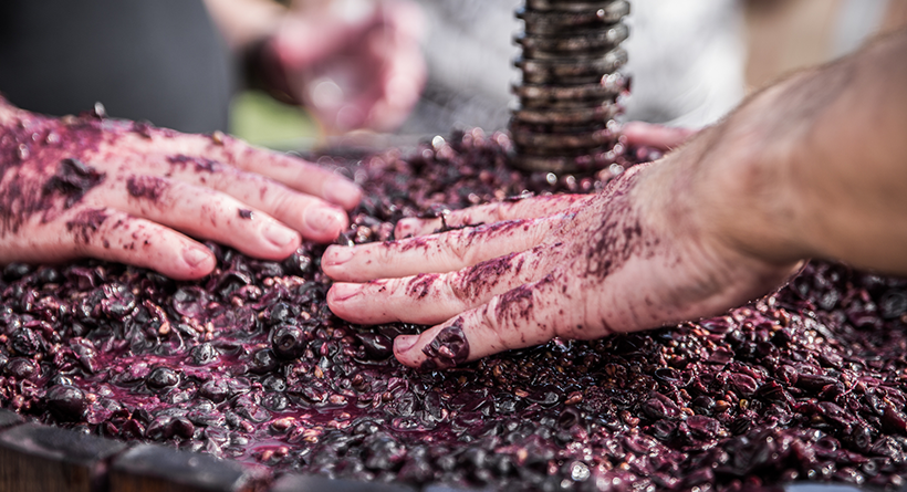 Raidis Estate grapes